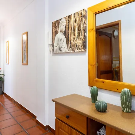 Terraza Realejos Λος Ρεαλέχος