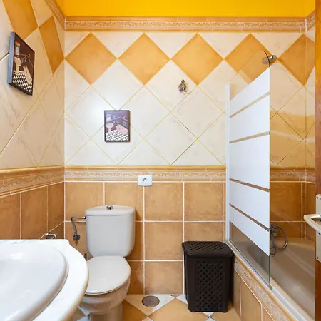 Terraza Realejos 로스 레알레호스