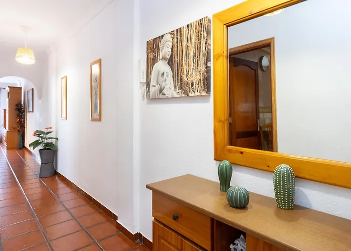 Terraza Realejos 로스 레알레호스